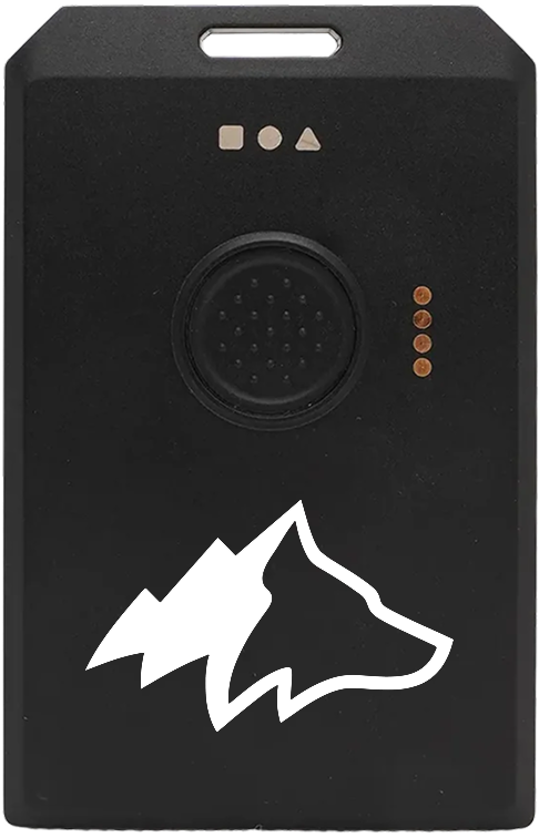 Kiba Scout